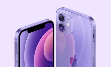 大岭山镇苹果手机维修分享紫色版iPhone 12有什么技术亮点 